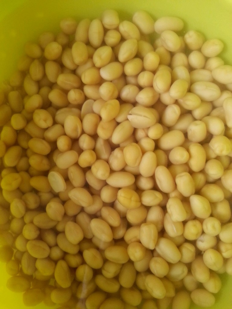 黄豆排骨煲的做法图解1