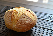 Poolish种乡村面包的做法