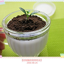 【自制酸奶花样吃法】