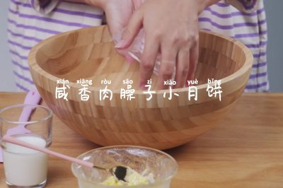 咸香肉臊子月饼