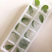 柠檬薄荷茶饮气泡水的做法图解1