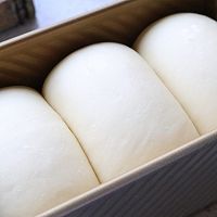 一次发酵的拉丝北海道吐司的做法图解11