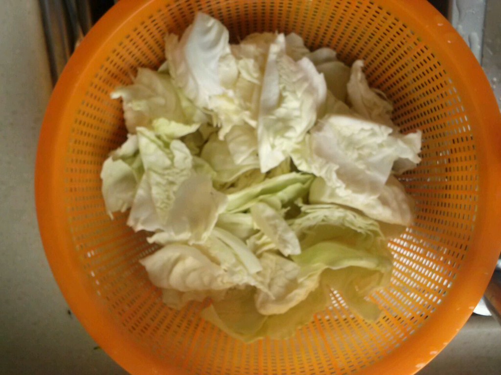 灰灰菜怎么做好吃(灰灰菜怎样吃？看大厨做法，要点无遗漏，不粘不坨不变色绿色健康) - 生活 - 布条百科