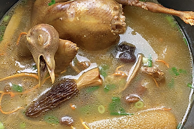 鸽子汤
