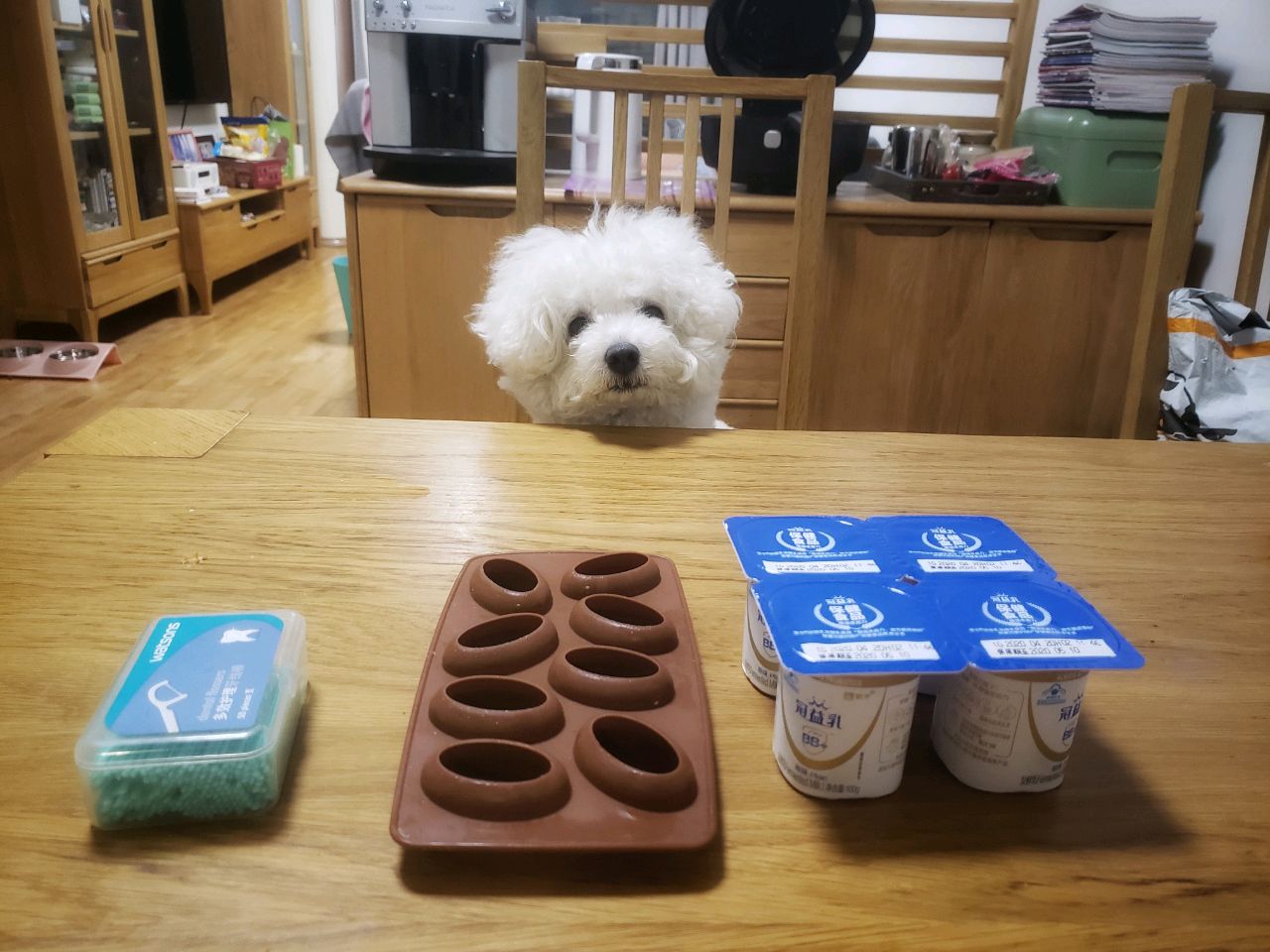 自制狗零食之狗狗冰淇淋怎么做_自制狗零食之狗狗冰淇淋的做法_豆果美食