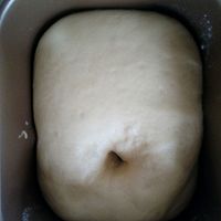 【东菱T12'烘焙百宝袋，面包机试用报告】面包机版豆沙土司的做法图解6