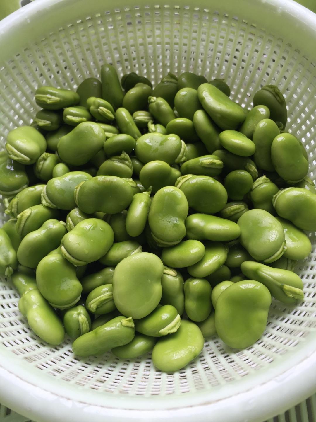 清炒蚕豆/蒜香蚕豆的做法图解1
