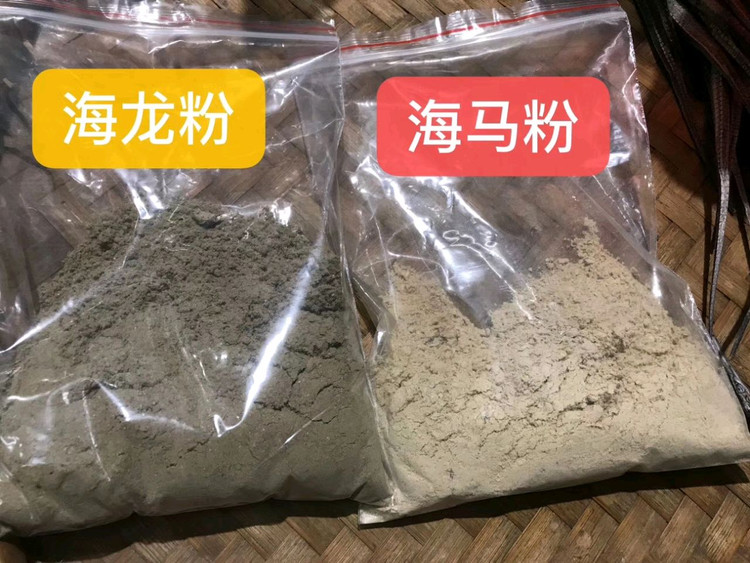 现磨海马 海龙粉的做法