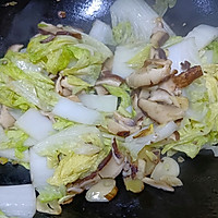 #精致一人食#白菜豆腐煲的做法图解6