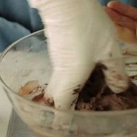 芒果巧克力挞的做法图解2