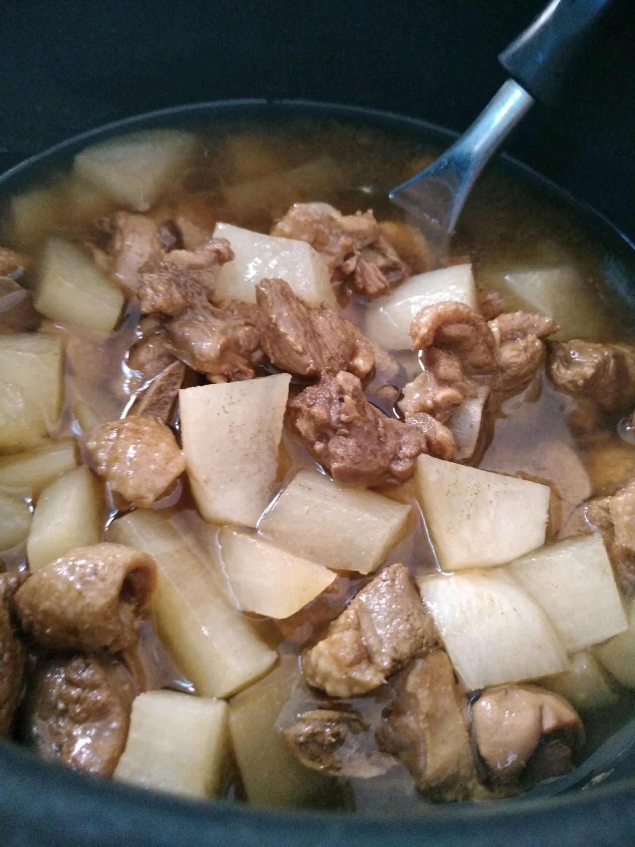 Braised duck with radish