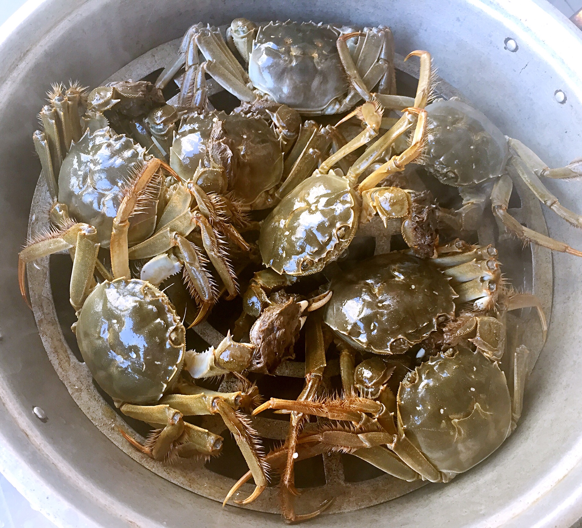 盘锦河蟹的做法,河蟹的做法,河蟹的营养价值,盘锦河蟹的养殖技术_齐家网