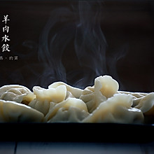 羊肉胡萝卜水饺#香雪让年更有味#