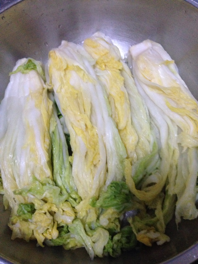 自制辣白菜的做法图解1