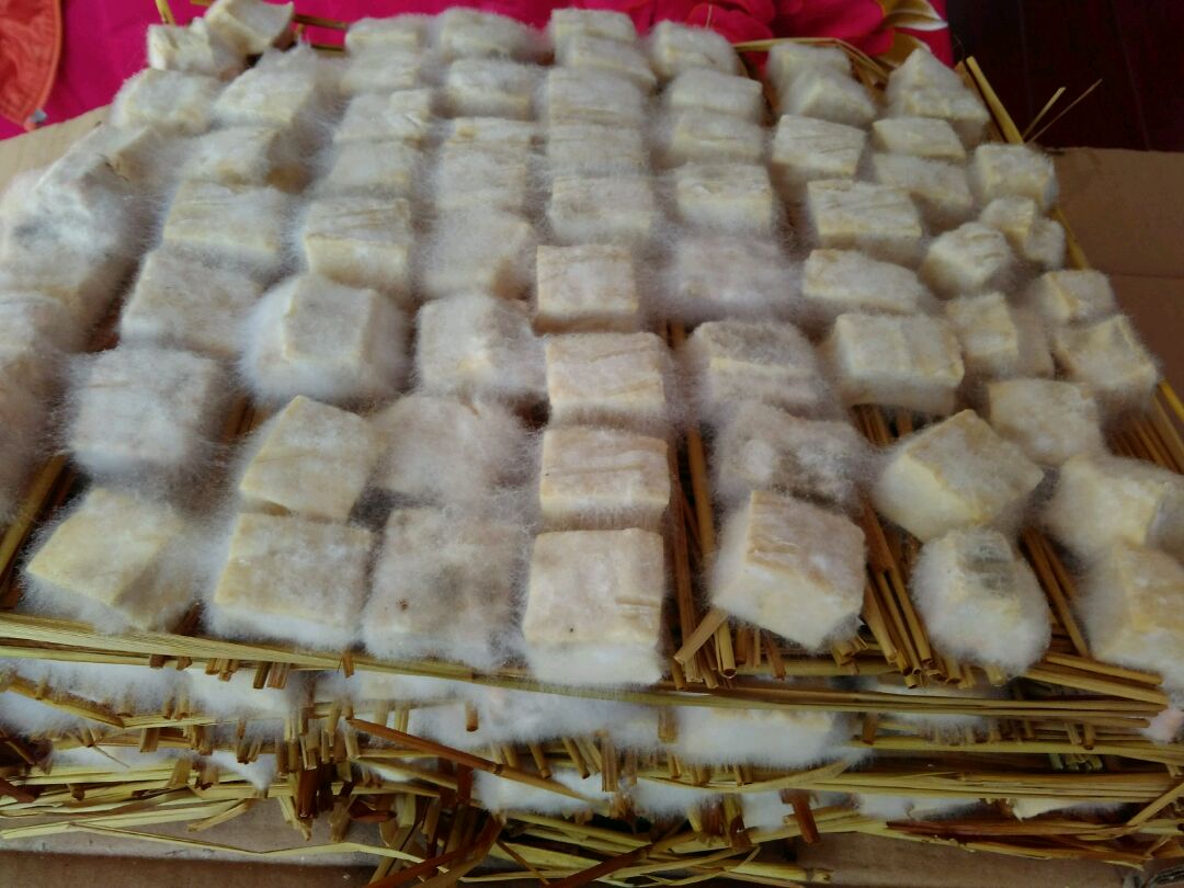 桂林豆腐乳：“桂林三宝”之一，白腐乳的代表 - 知乎