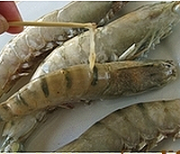 大虾烧白菜的做法图解1