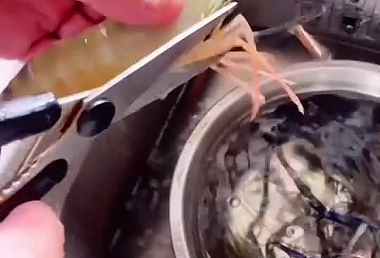 家庭版蒜香罗氏虾的做法