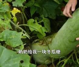 清甜爽口冬瓜糖，90后童年零食的做法