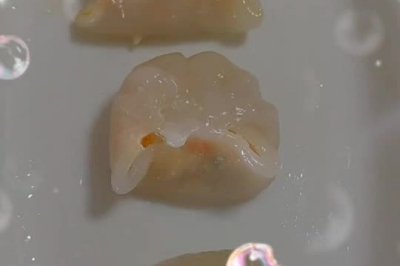 广东风味：虾饺