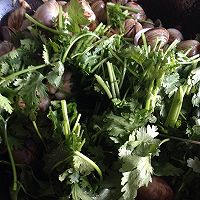 金菇香菜炒白蚬子的做法图解11