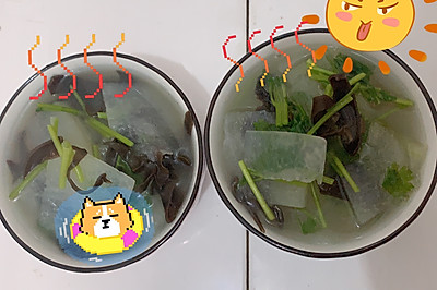 减肥食谱 | 冬瓜木耳香菜汤（零基础掉称快）