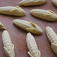 一次性发酵玉米馒头的做法图解8
