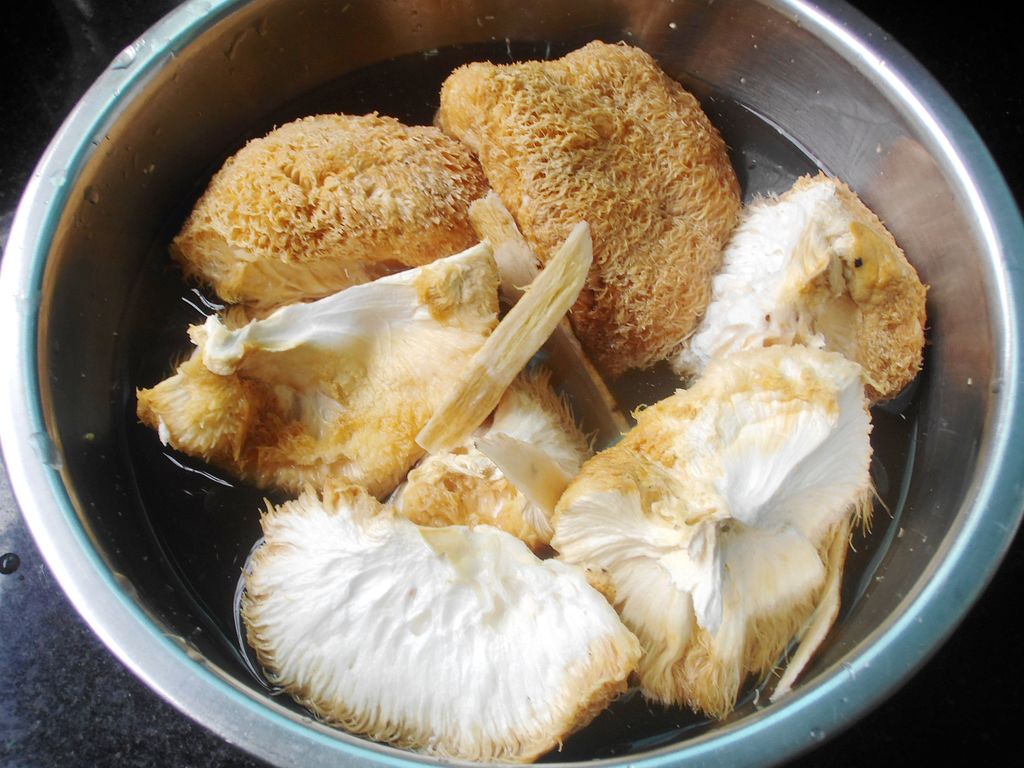 猴头菇鸡汤怎么做_猴头菇鸡汤的做法_豆果美食