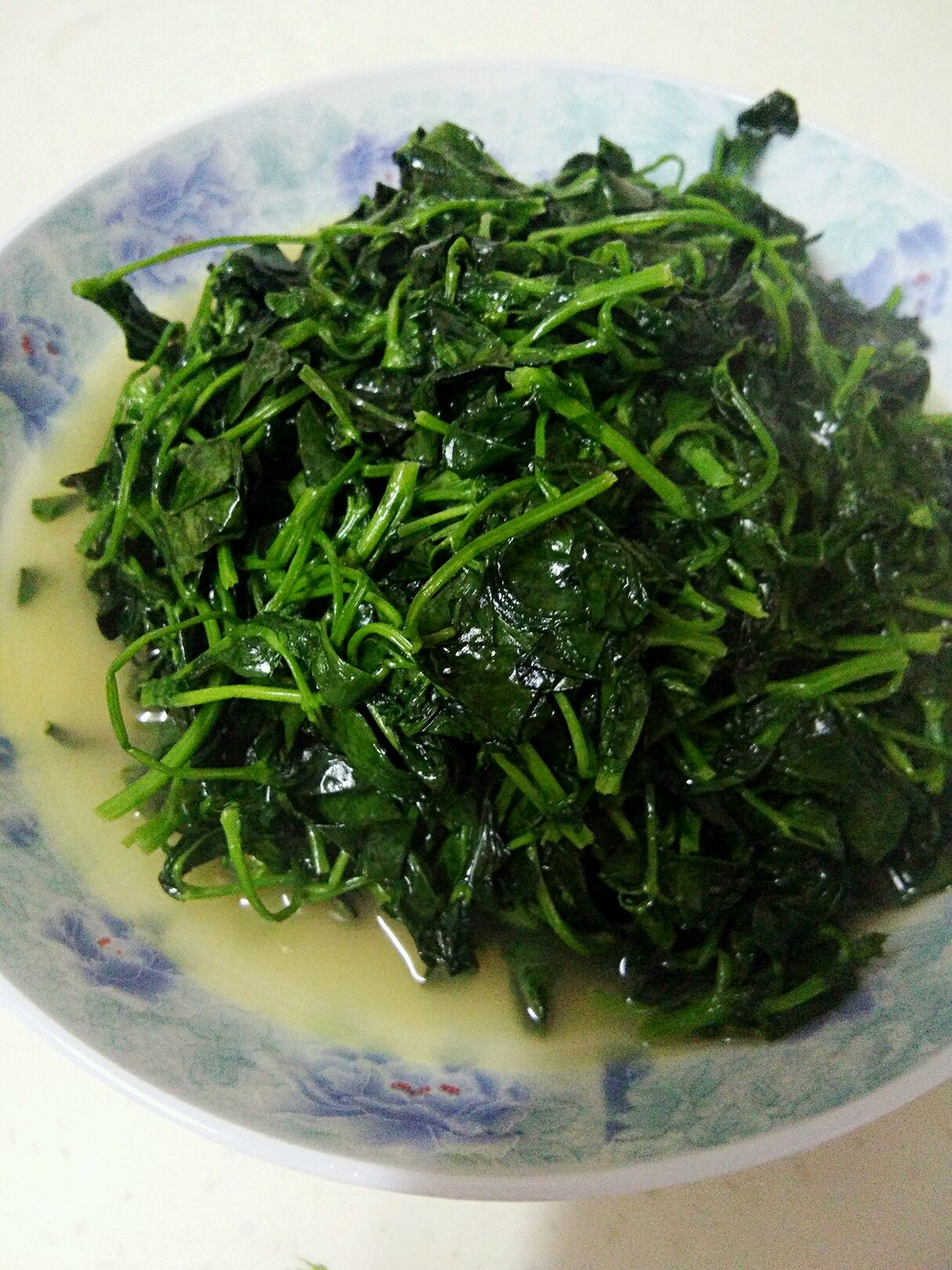 南苜蓿-中国蔬菜作物-图片