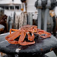 #秋日抢鲜“蟹”逅#俄罗斯雪蟹蟹肉沙拉的做法图解1