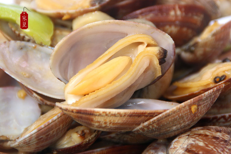 『家夏』爆炒花蛤 简单易做 鲜香味美的做法