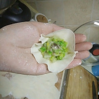 圆白菜香菇饺子的做法图解9