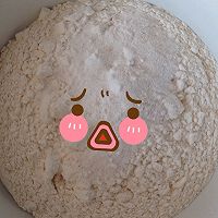 燕麦果仁饼的做法图解8