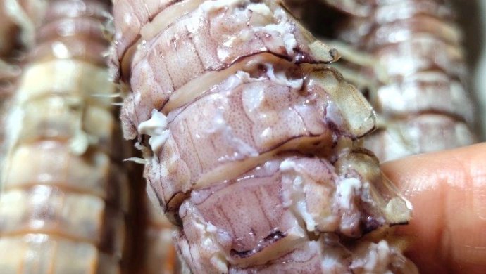清蒸皮皮虾（爬虾）--春季最鲜美的爬虾做法