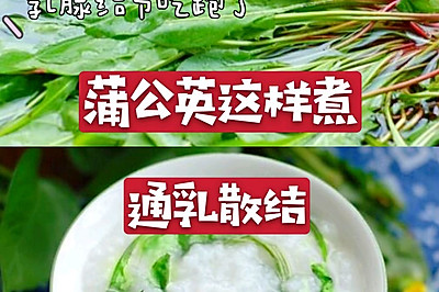 乳腺结节“对手”蒲公英这样煮通俗散结