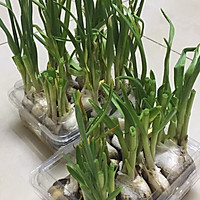 炒鹅蛋的做法图解1