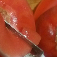 西红柿牛腩的做法图解10