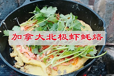 你一定没吃过，加拿大北极虾耗烙