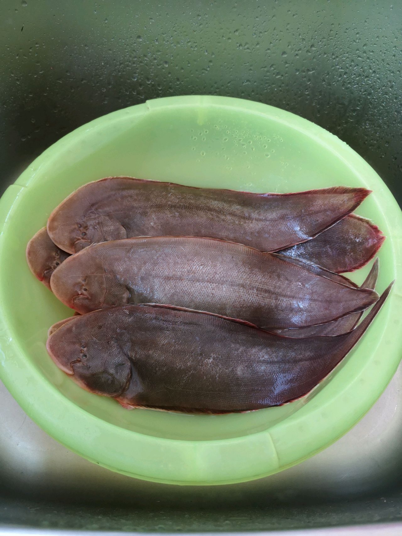 红烧塔嘛鱼怎么做_红烧塔嘛鱼的做法_豆果美食