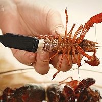 麻辣小龙虾|九阳知食的做法图解2