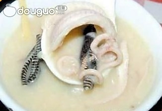 水蛇粥