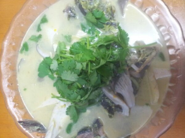 昂公鱼豆腐汤的做法