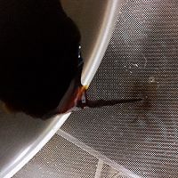 红糖馒头的做法图解2