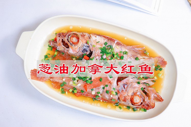 葱油加拿大红鱼的做法