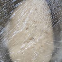 白菜肉馅包子的做法图解1
