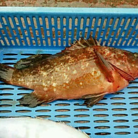 清蒸海石斑的做法图解1