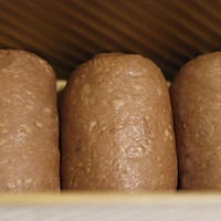 巧克力豆土司（消耗淡奶油）的做法图解5