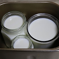 在家自己DIY酸奶的做法图解5