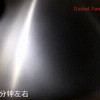 #我要上首焦#小鸡炖蘑菇的做法图解8