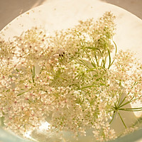 接骨木糖浆Elderflower Syrup的做法图解1