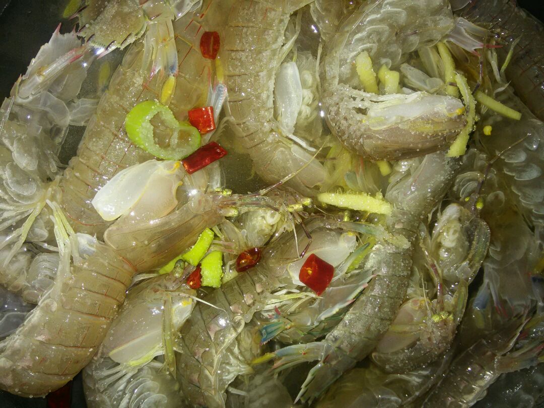 秋冬季的皮皮虾，公的好吃还是母的好吃？教你怎样挑选，肉多鲜美_美食
